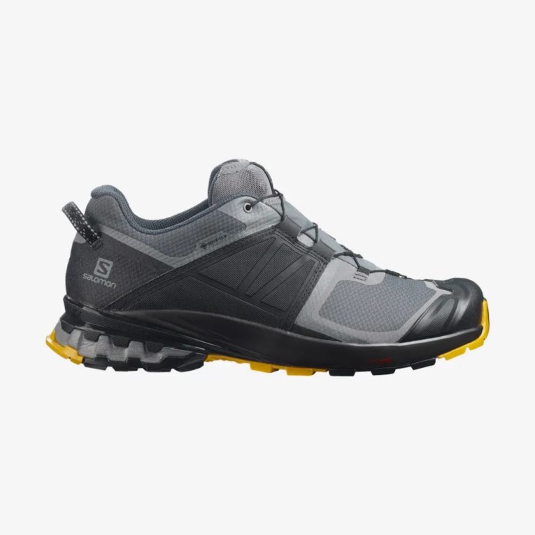 Tenis Para Trail Running Salomon Xa Wild GTX Hombre Negros Grises | MX OJDR208